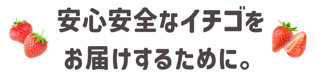 安心安全なイチゴを
お届けするために。