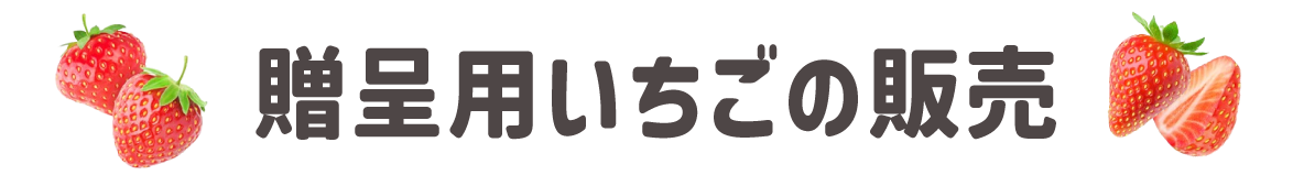 贈呈用いちごの販売